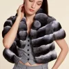 Chinchilla bolero
