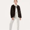 Short russian sable jacket